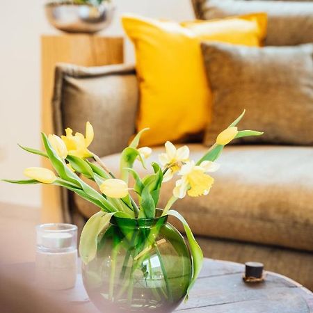 Weinrebe Apartment Бернкастел-Кюс Екстериор снимка